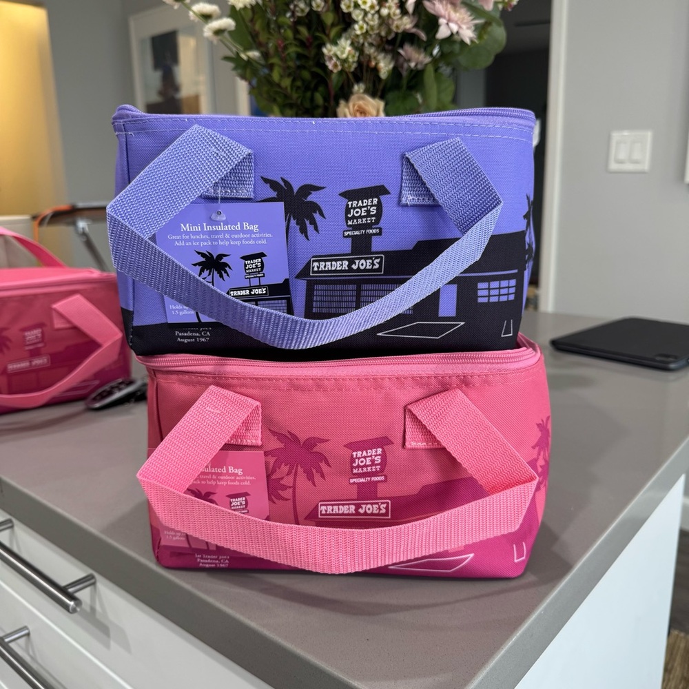 TRADER JOES MINI COOLER BAG